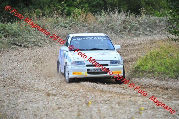 DSC_7993.JPG